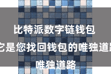 比特派数字链钱包  它是您找回钱包的唯独道路
