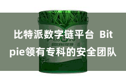 比特派数字链平台  Bitpie领有专科的安全团队