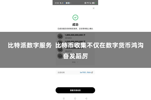 比特派数字服务  比特币收集不仅在数字货币鸿沟奋发蹈厉