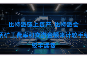比特派链上资产  比特派会把柄矿工费率和交游金额来计较手续费