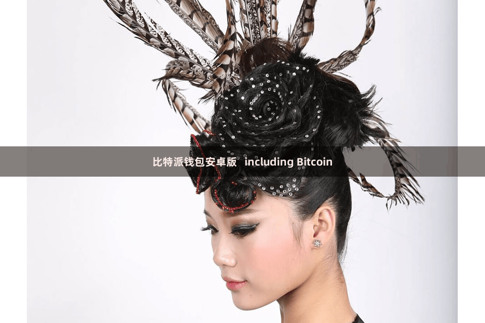 比特派钱包安卓版   including Bitcoin