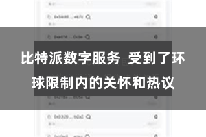 比特派数字服务  受到了环球限制内的关怀和热议