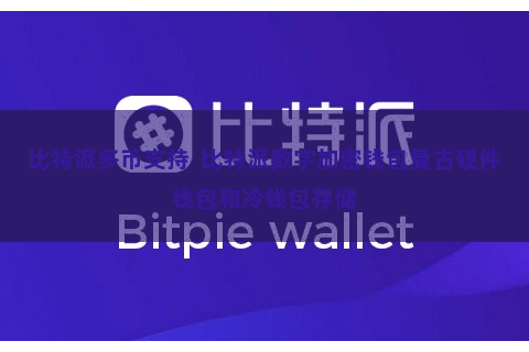 比特派多币支持  比特派数字加密钱包复古硬件钱包和冷钱包存储